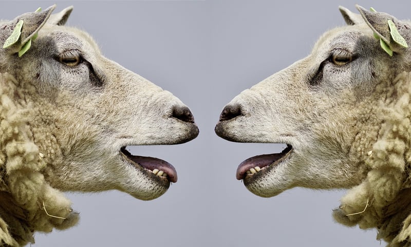 Communication Image